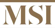 MSI Stones